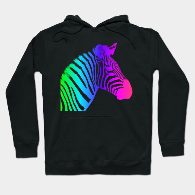 color wheel zebra Hoodie by JulietLake